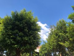 -美的鹭湖探索王国