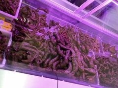 -湘黑鸭(总店)
