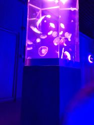 -未来动物城动物主题公园(大悦城店)