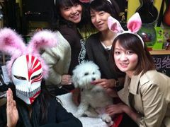 里面有个怪兽兔女郎-游人馆·桌游狼人杀团建馆(人广书城店)