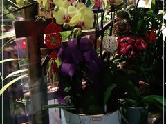 -FEI FEI FLOWER鲜花店·气球派对·宝宝宴布置(虹口德必运动Loft店)