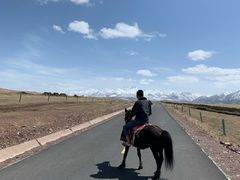 -山丹皇家马场