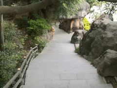 -金鸡山公园