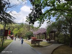 -敬亭山风景名胜区