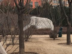 -迎泽公园