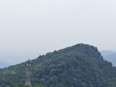 -大金鹰园