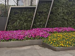 -重庆市江北嘴中央商务区中央公园