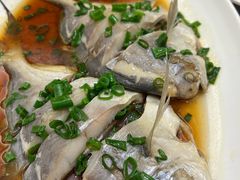 -苏启渔港(云南北路店)