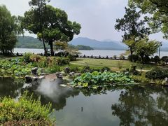 -杭州西湖柳莺里酒店·闻莺厅