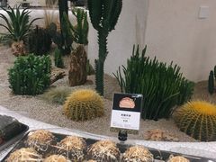 焦糖donuts-OUR Bakery(SKP-S店)