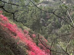 -木兰云雾山