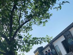 -煎饼卷大葱(春秋西路店)