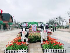 -荷兰花海