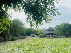 -莲池书院博物馆