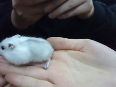 android_upload_pic-上海大自然野生昆虫馆