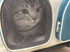 -宠颐生中康贝怡动物医院