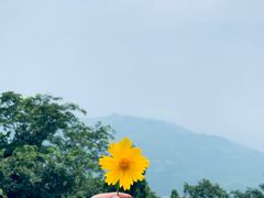 -金堂县云顶石城风景区