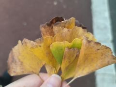 -艾溪湖湿地公园