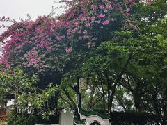 -鹅岭公园瞰胜楼