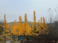 -白鹿原影视城