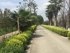 -夏河溪乡野公园