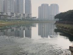-成都南湖公园