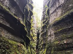 -梭布垭石林景区