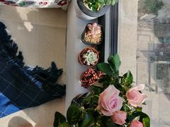 -秦美花卉(天朗·莱茵小城2期店)