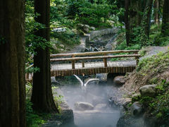 -东明山森林公园