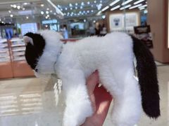 -金鹰国际购物中心(江都店)