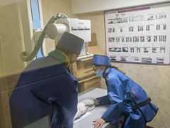 -宠爱国际动物医院· 猫科· 外科·中兽医(长白店)