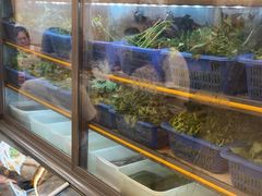 -老味道1992(武当山店)