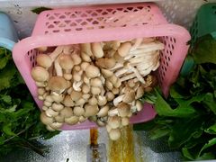 android_upload_pic-藏味八珍特色火锅