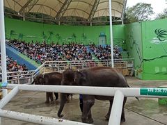 -大连森林动物园