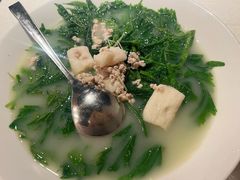 竹笙浸农家桑叶-大鸽饭(动物园店)