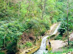 -龙岩森林水乡景区