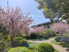 -南京中医药大学(仙林校区)