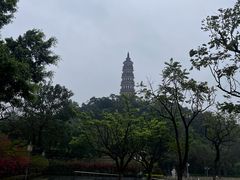 -顺峰山公园