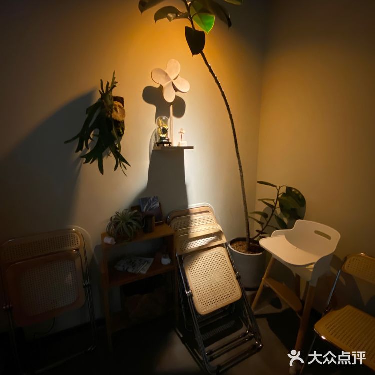 #魔都衡山路秋天最佳拍照打开卡地