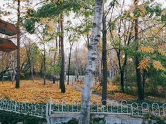 -黑龙江省森林植物园