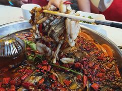 -味之绝热血美蛙鱼火锅(中坝店)