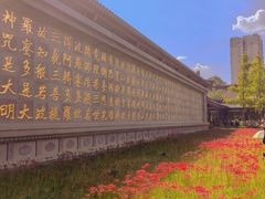 -西安大兴善寺