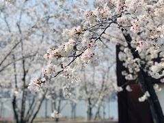 -龙美术馆西岸馆-停车场