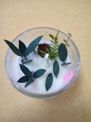 -敦南舒悦月子会所(南湖店)