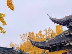 -西园戒幢律寺