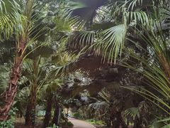 -海南热带野生动植物园