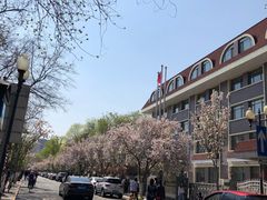 -天津五大道文化旅游区