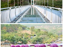 -盈香心动乐园