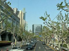 -BUS TOUR观光巴士