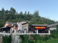 -鲁菜根·泰山菜(泰山店)